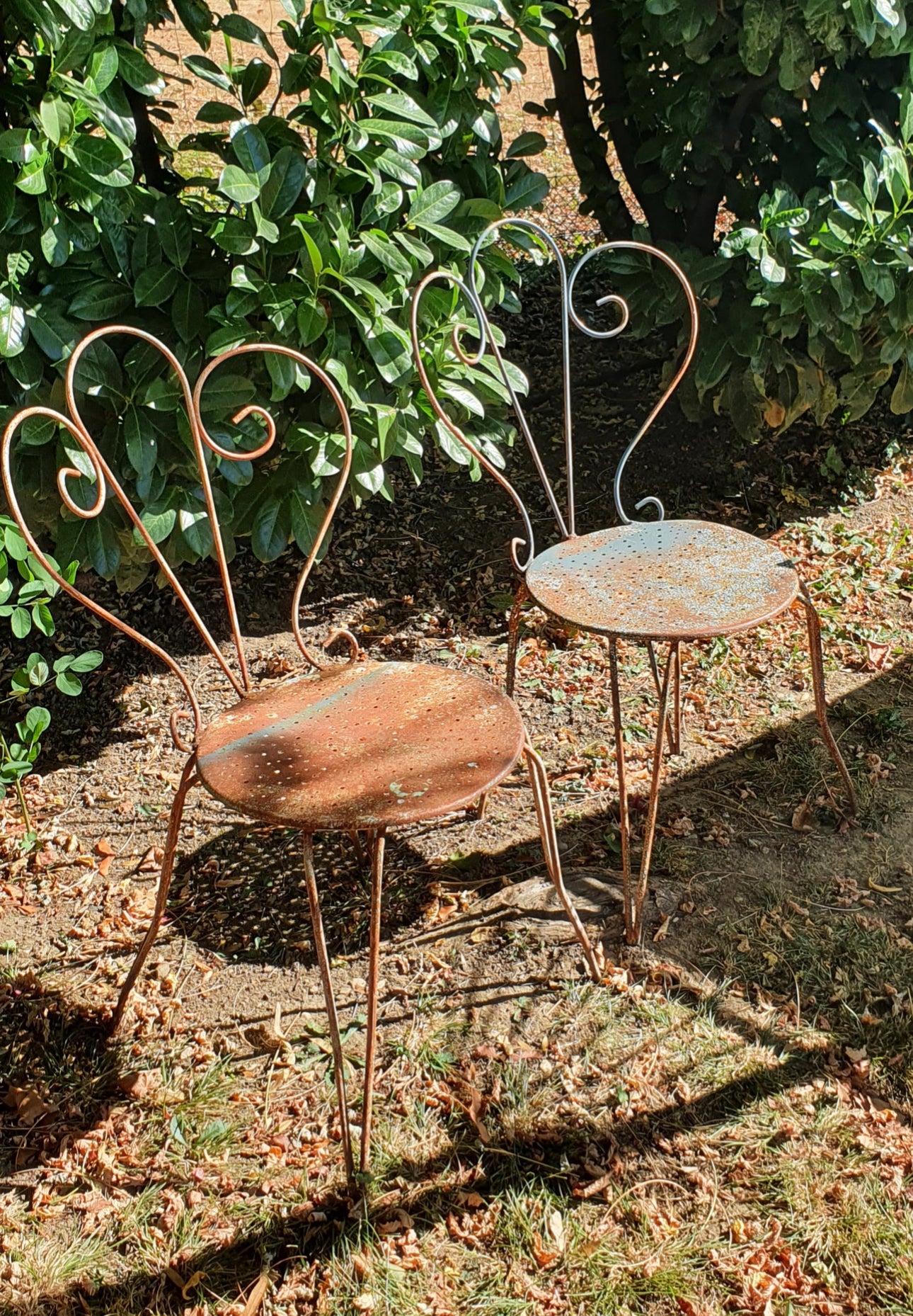 Chaises de jardin