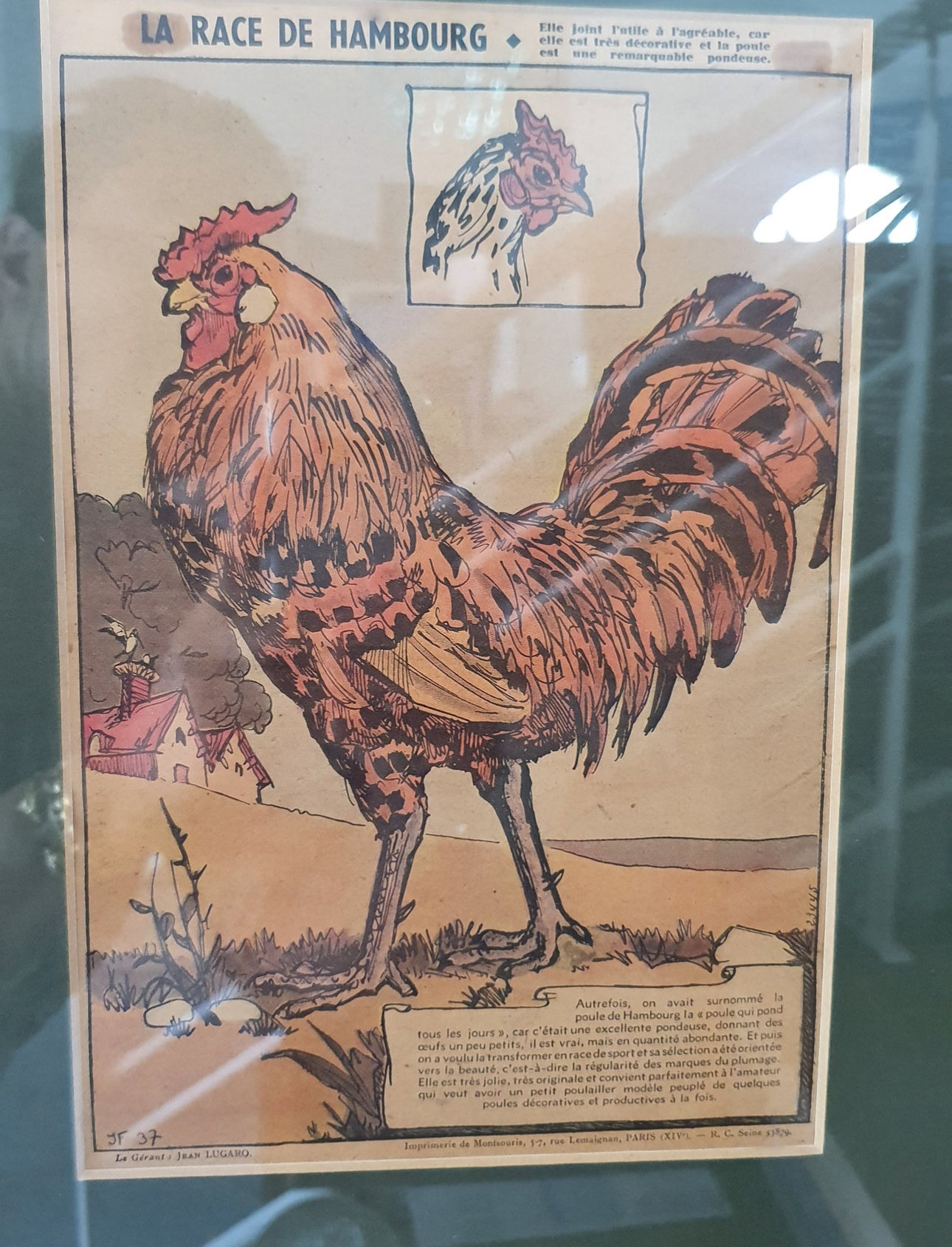 Illustrations sous verre 1937/38