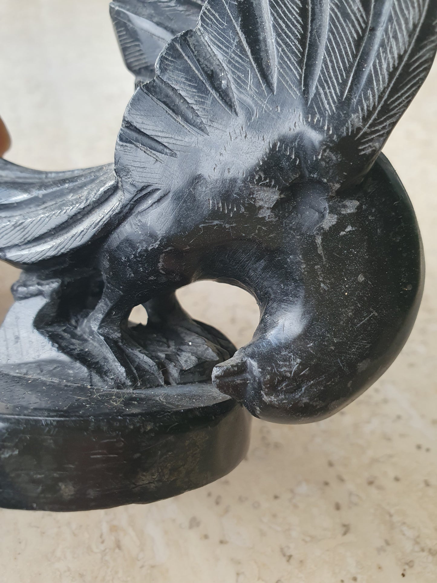 Oiseau