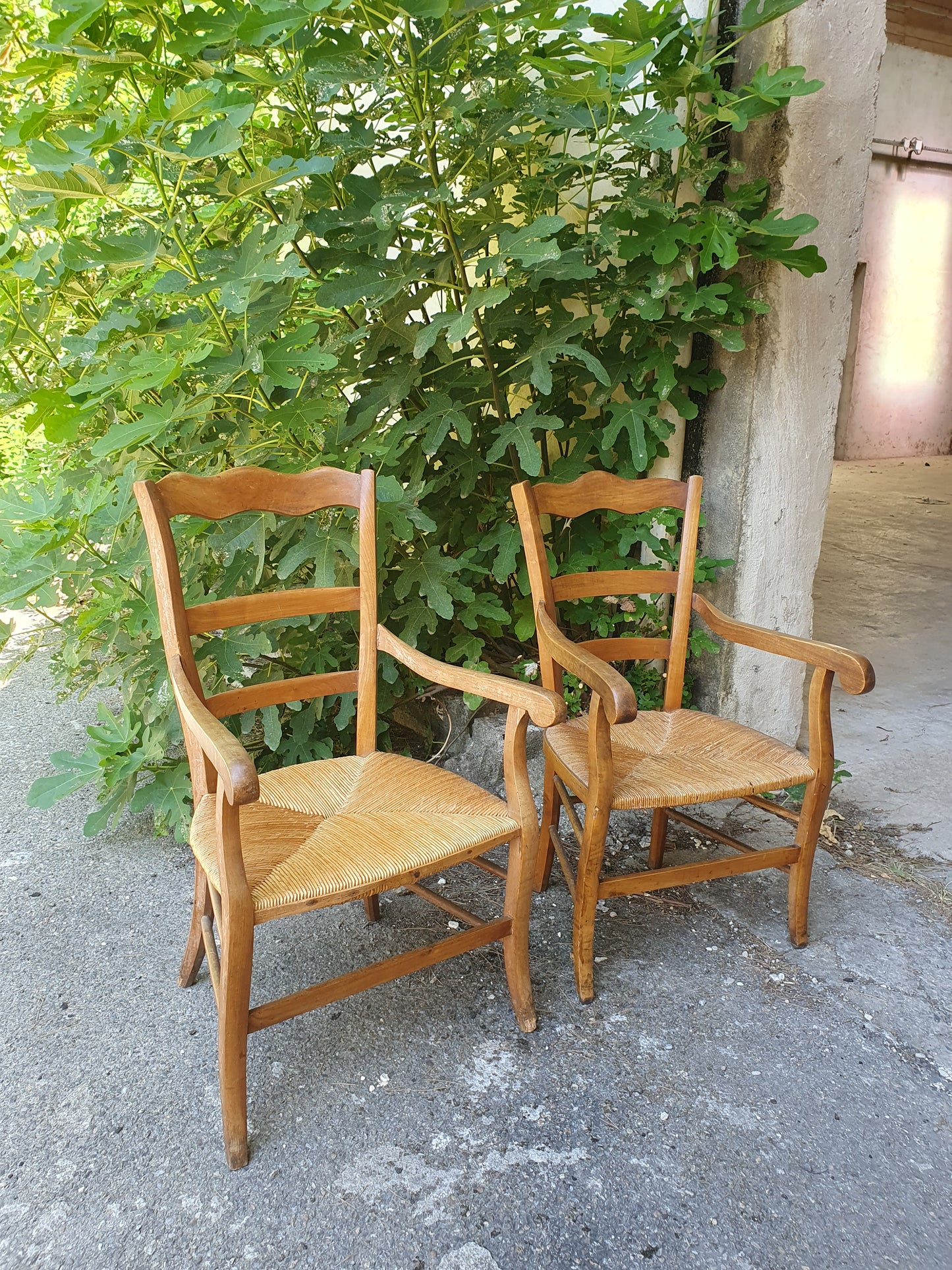 Paire de fauteuils