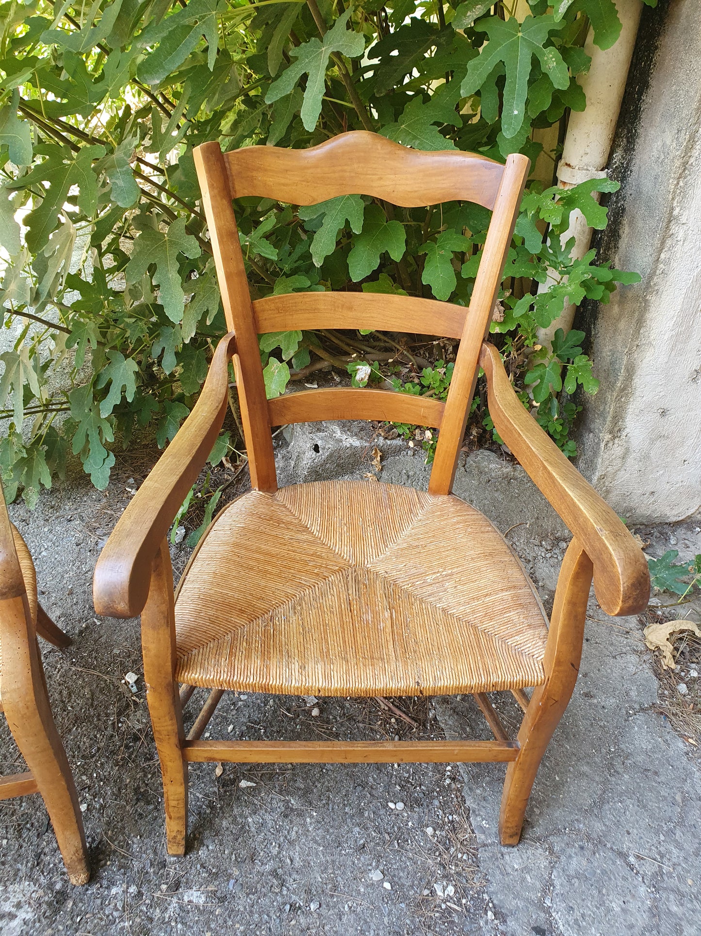 Paire de fauteuils