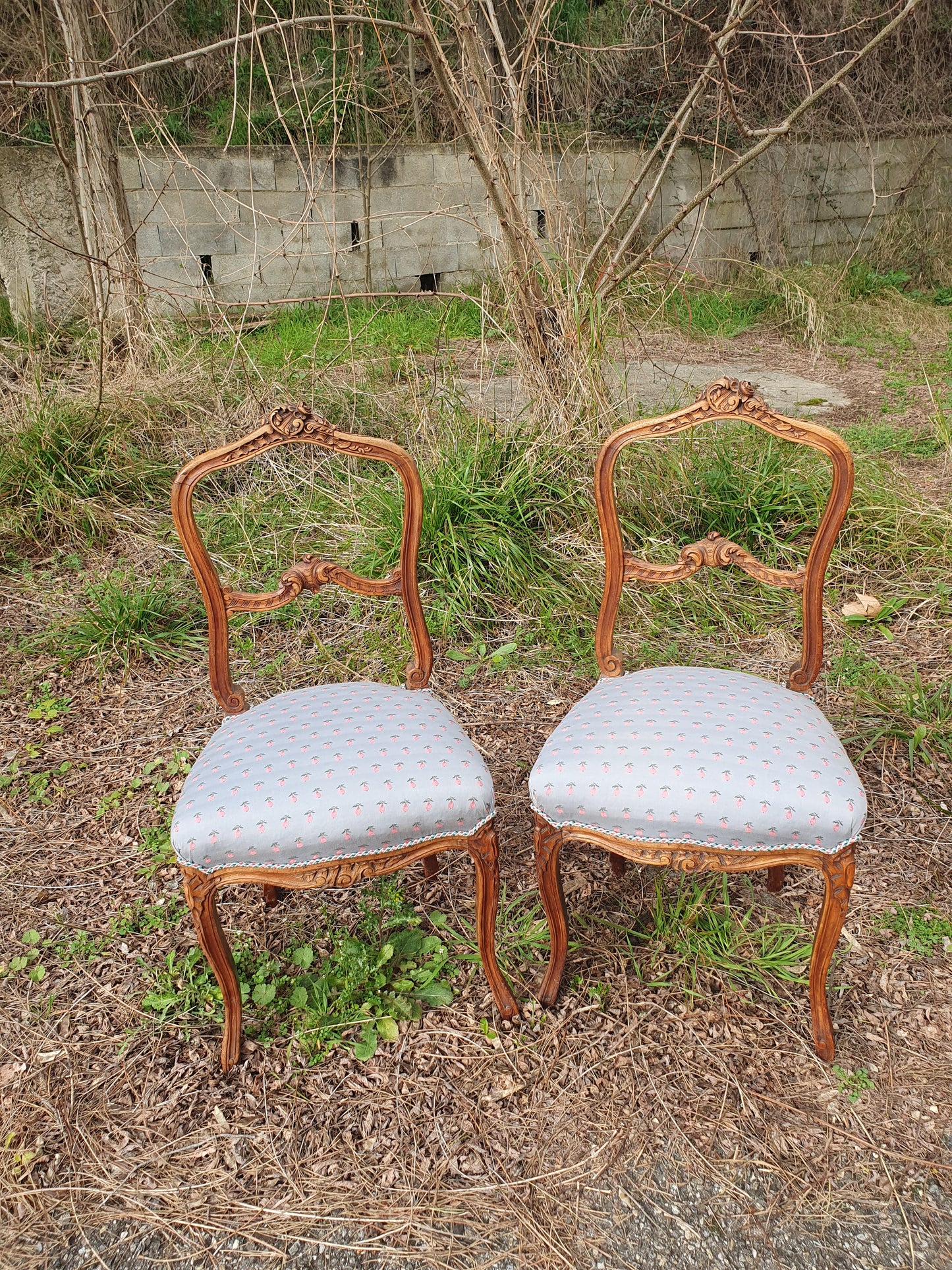 Paire de chaises Louis XV