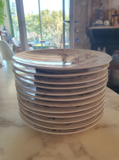 Assiettes Sarreguemines